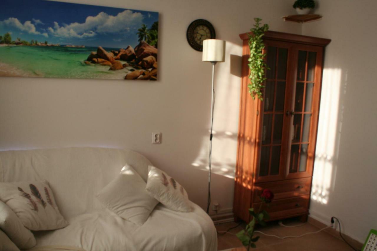 Apartament Centrum 3 Pokojowy Olsztyn  Kültér fotó
